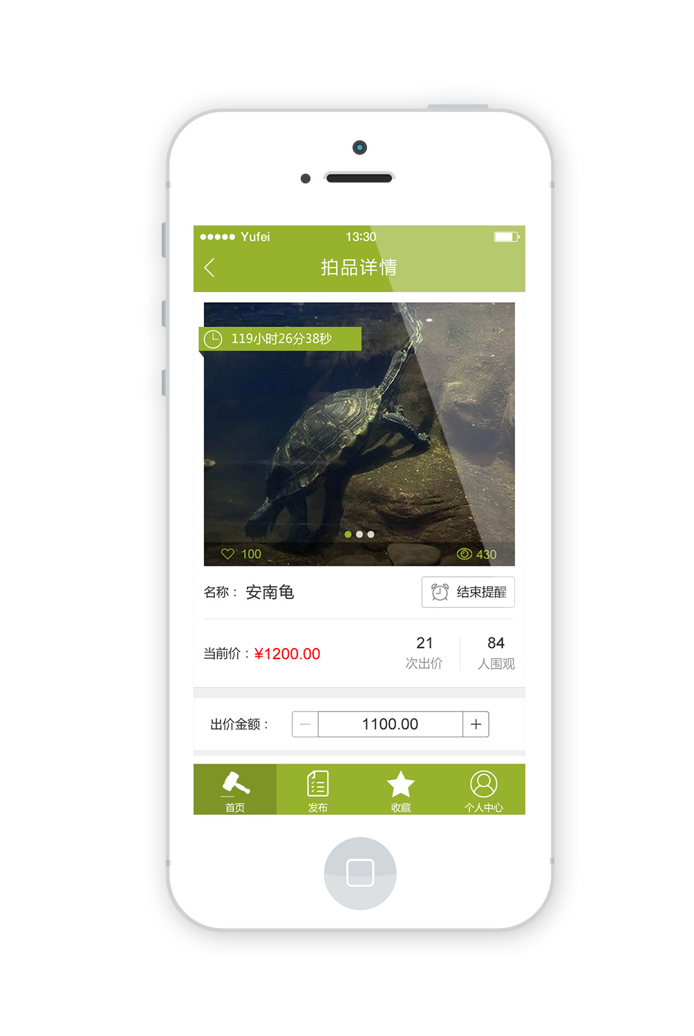 尊貴名龜 MINGGUI