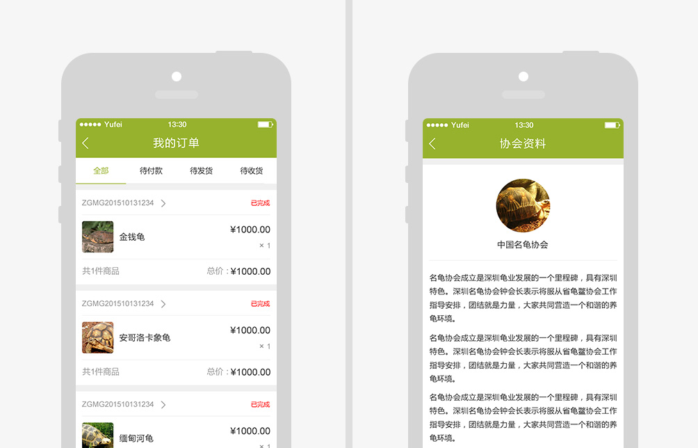 尊貴名龜 MINGGUI