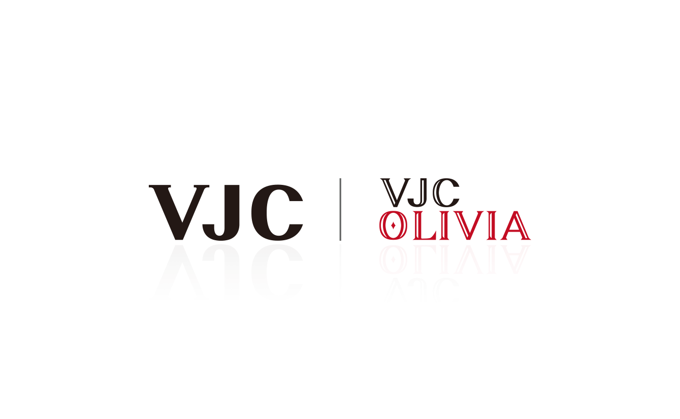 威杰思 VJC